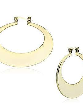 LO2737 Gold Iron Earrings